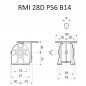 RIDUTTORE VITE SENZA FINE RMI 28 D 1/28 PAM 56 B14 FORO 14 LUBR. STM