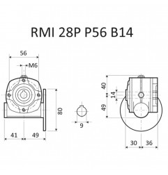 RIDUTTORE VITE SENZA FINE RMI 28 P 1/10 PAM 56 B14 FORO 14 LUBR.  STM