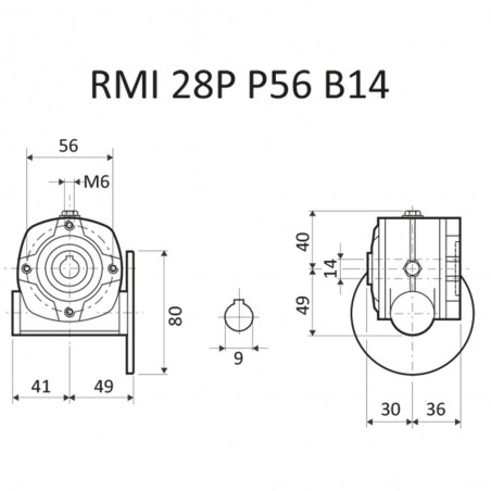 RIDUTTORE VITE SENZA FINE RMI 28 P 1/10 PAM 56 B14 FORO 14 LUBR.  STM