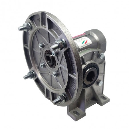 RIDUTTORE VITE SENZA FINE RMI 28 S 1/56 PAM 56 B5 FORO 14 LUBR.  STM