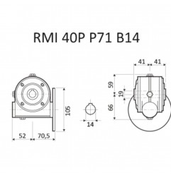 RIDUTTORE VITE SENZA FINE RMI 40 P 1/15 G/GIUNTO PAM71 B14 BISP. FORO18 LUBR.STM