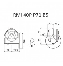 RIDUTTORE VITE SENZA FINE RMI 40 P 1/15 C/GIUNTO PAM 71 B5 FORO 18 LUBR. STM