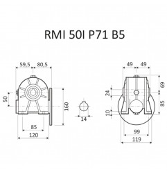 RIDUTTORE VITE SENZA FINE RMI 50 I 1/49 PAM 71 B5 FORO 24 LUBR. STM