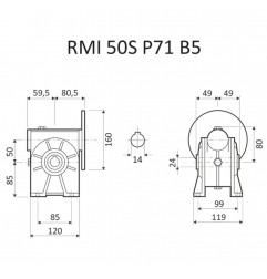 RIDUTTORE VITE SENZA FINE RMI 50 S 1/100 PAM 71 B5 FORO 24 LUBR. STM