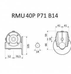 RIDUTTORE VITE SENZA FINE RMU 40 P 1/15 PAM 71 B14 BIS FORO 18 LUBR.  STM