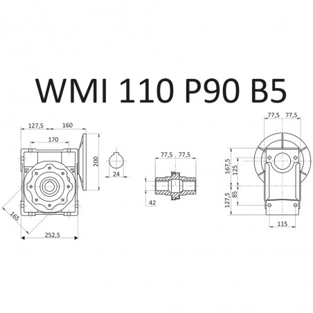 RIDUTTORE VITE SENZA FINE WMI 110 1/100 PAM 90 B5  FORO 42 LUBR. STM