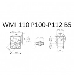 RIDUTTORE VITE SENZA FINE WMI 110 1/10 PAM 100/112 B5  FORO 42 LUBR. STM