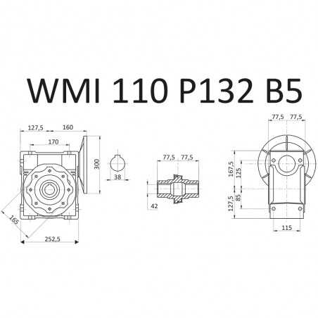 RIDUTTORE VITE SENZA FINE WMI 110 1/7.5 PAM 132 B5 FORO 42 LUBR. STM