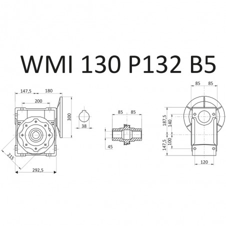 RIDUTTORE VITE SENZA FINE WMI 130 1/20 PAM 132 B5  FORO 45 LUBR. STM