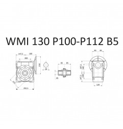 RIDUTTORE VITE SENZA FINE WMI 130 1/30  PAM 100/112 B5 45 LUBR. STM