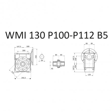 RIDUTTORE VITE SENZA FINE WMI 130 1/30  PAM 100/112 B5 45 LUBR. STM