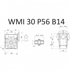 RIDUTTORE VITE SENZA FINE WMI 25 1/10 PAM 56 B14 FORO 11 LUBR. STM