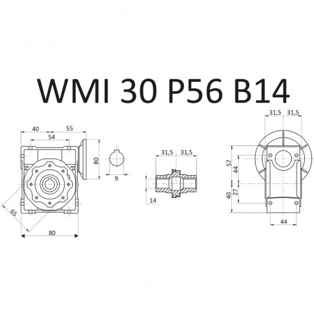 RIDUTTORE VITE SENZA FINE WMI 25 1/10 PAM 56 B14 FORO 11 LUBR. STM