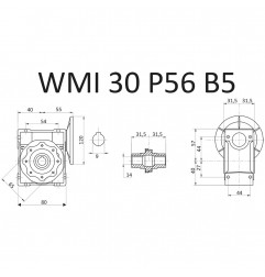 RIDUTTORE VITE SENZA FINE WMI 30 1/10 PAM 56 B5 FORO 14 LUBR. STM