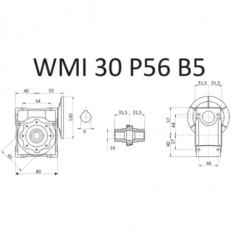 RIDUTTORE VITE SENZA FINE WMI 30 1/10 PAM 56 B5 FORO 14 LUBR. STM