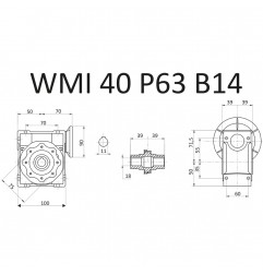 RIDUTTORE VITE SENZA FINE WMI 40 1/100 PAM 63 B14 FORO 18 LUBR. STM