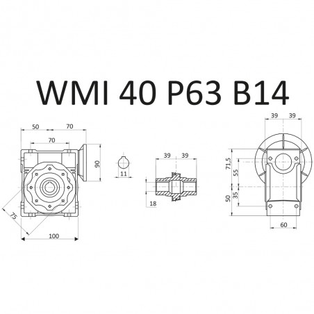 RIDUTTORE VITE SENZA FINE WMI 40 1/10 PAM 63 B14 FORO 18 LUBR. STM