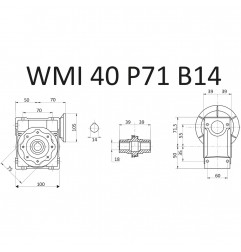 RIDUTTORE VITE SENZA FINE WMI 40 1/20 PAM 71 B14 FORO 18 LUBR. STM