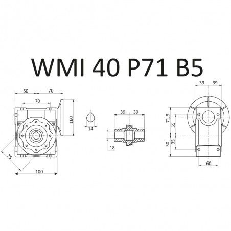 RIDUTTORE VITE SENZA FINE WMI 40 1/20 PAM 71 B5 D. 18 MM LUBR. STM