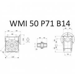 RIDUTTORE VITE SENZA FINE WMI 50 1/100 PAM 71 B14 FORO 25 LUBR. STM