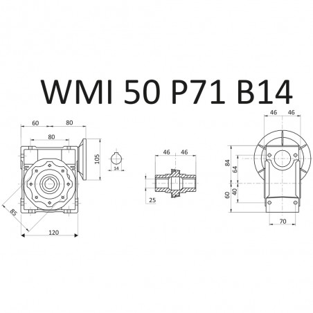 RIDUTTORE VITE SENZA FINE WMI 50 1/100 PAM 71 B14 FORO 25 LUBR. STM