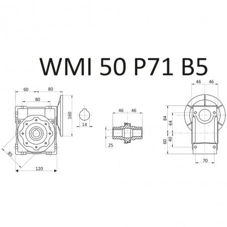 RIDUTTORE VITE SENZA FINE WMI 50 1/100 PAM 71 B5 FORO 25 LUBR. STM