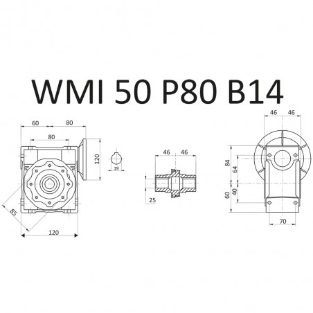 RIDUTTORE VITE SENZA FINE WMI 50 1/20 PAM 80 B14 FORO 25 LUBR. STM