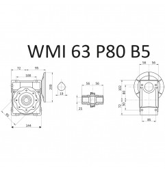 RIDUTTORE VITE SENZA FINE WMI 63 1/100 PAM 80 B5  FORO 25 LUBR. STM