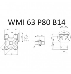 RIDUTTORE VITE SENZA FINE WMI 63 1/25 PAM 80 B14 FORO 25 LUBR. STM