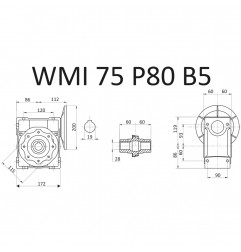 RIDUTTORE VITE SENZA FINE WMI 75 1/100 PAM 80 B5 FORO 28 LUBR. STM