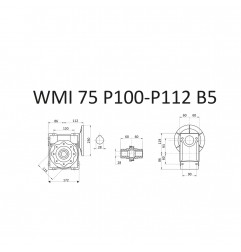 RIDUTTORE VITE SENZA FINE WMI 75 1/15 PAM 100/112 B5 FORO 28 LUBR. STM