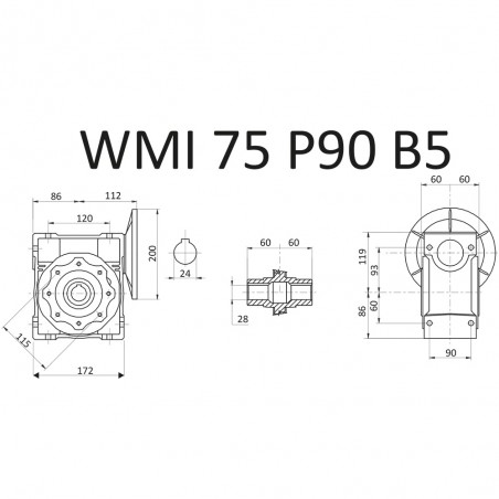 RIDUTTORE VITE SENZA FINE WMI 75 1/15 PAM 90 B5 FORO 28 LUBR. STM