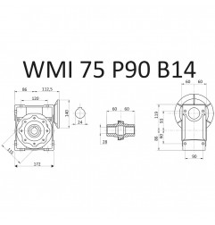 RIDUTTORE VITE SENZA FINE WMI 75 1/25 PAM 90 B14 FORO 28 LUBR. STM