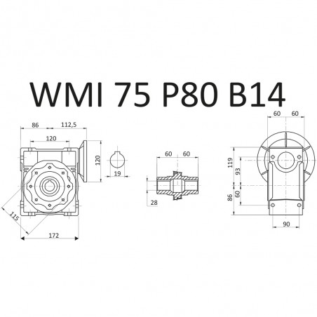 RIDUTTORE VITE SENZA FINE WMI 75 1/40 PAM 80 B14  FORO 28 LUBR. STM