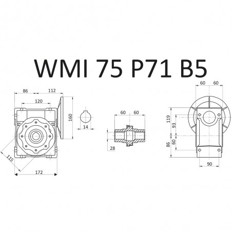 RIDUTTORE VITE SENZA FINE WMI 75 1/60 PAM 71 B5 FORO 28 LUBR. STM