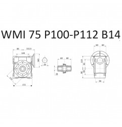 RIDUTTORE VITE SENZA FINE WMI 75 1/7.5 PAM 100/112 B14 FORO 28 LUBR. STM