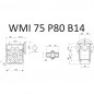 RIDUTTORE VITE SENZA FINE WMI 75 1/80 PAM 80 B14 FORO 28 LUBR. STM