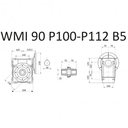 RIDUTTORE VITE SENZA FINE WMI 90 1/10 PAM 100/112 B5  D. 35 MM LUBR. STM