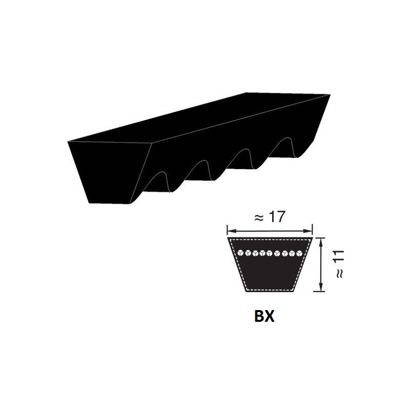 CINGHIA 17X850 BX33 1/2  TRAPEZOIDALE DENTELLATA PIX