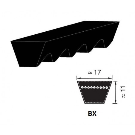 CINGHIA 17X850 BX33 1/2  TRAPEZOIDALE DENTELLATA PIX