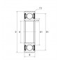 CUSCINETTO 55X120X29 1 CORONA DI SFERE 6311 2RS C3 ISB