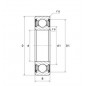 CUSCINETTO 45X75X16 1 CORONA DI SFERE 6009ZZNR/2AS NTN