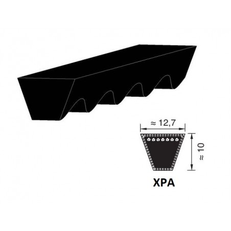 CINGHIA 12,7X1060 XPA1060 TRAPEZOIDALE DENTELLATA PIX