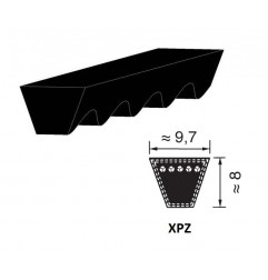 CINGHIA 9,7X1262 XPZ1262 TRAPEZOIDALE DENTELLATA PIX