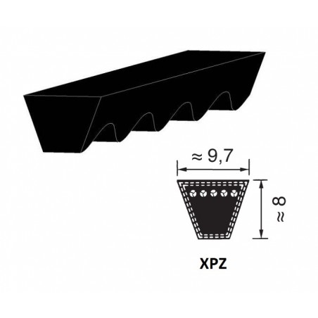 CINGHIA 9,7X1262 XPZ1262 TRAPEZOIDALE DENTELLATA PIX