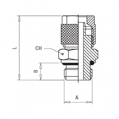 RACCORDO DRITTO M.1/8 A CALZAMENTO TUBO 6X4