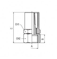 RACCORDO PORTAGOMMA F.1/4 TUBO 14X6