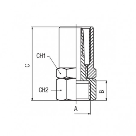 RACCORDO PORTAGOMMA F.1/4 TUBO 14X6