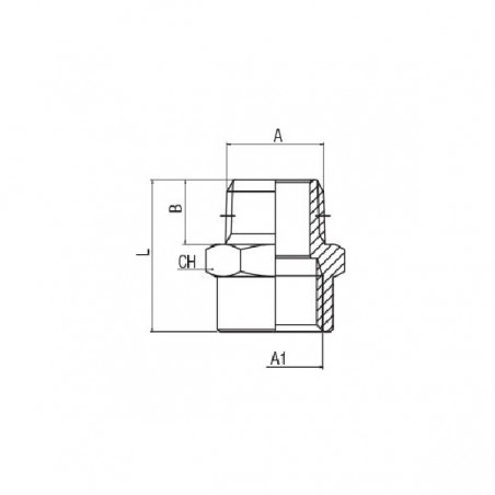 PROLUNGA M.1/8 X F.1/8