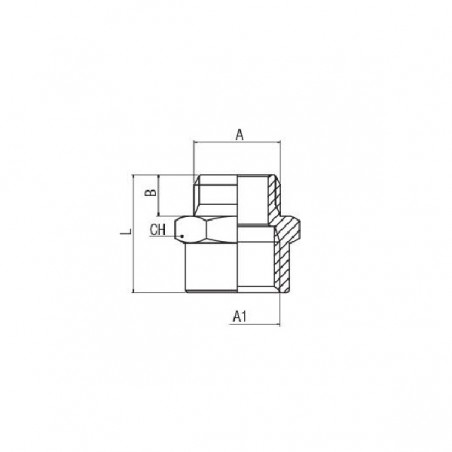 RIDUZIONE CILINDRICA M.M5 X F.1/8